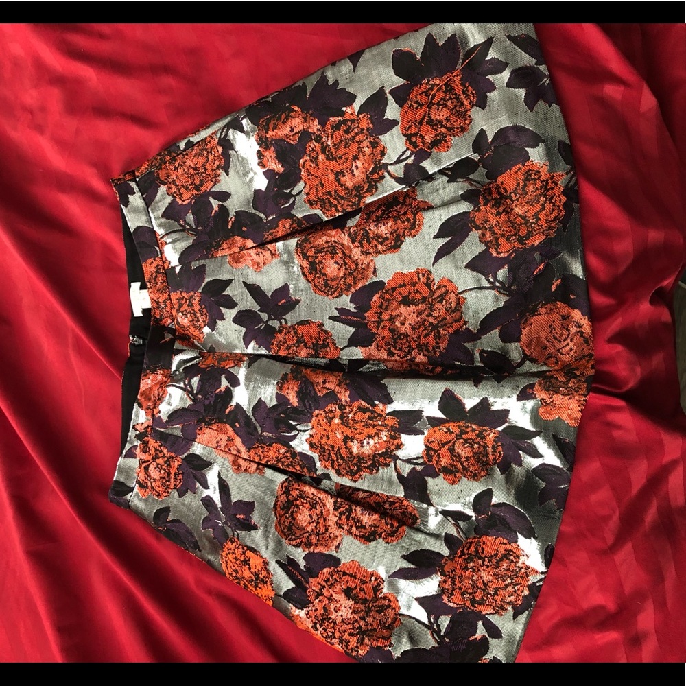 J Crew skirt